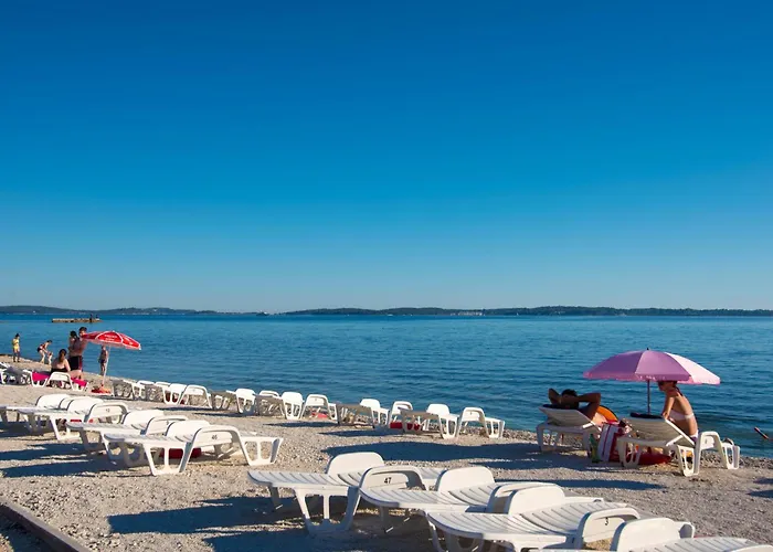 Teuta_commodious At The 아파트 *